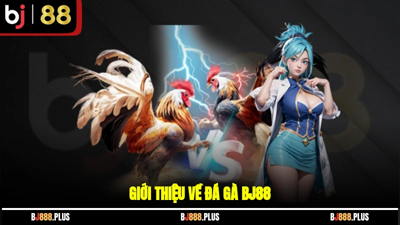 Giới thiệu về Đá Gà BJ88